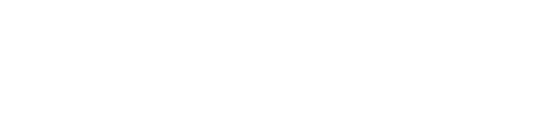 ACEDEVEL NETWORKS